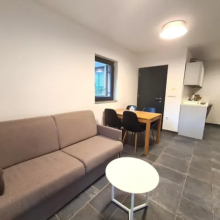 Appartement Alpine Escape Golte Mozirje