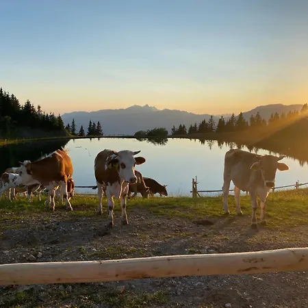 Alpine Escape Golte * Mozirje