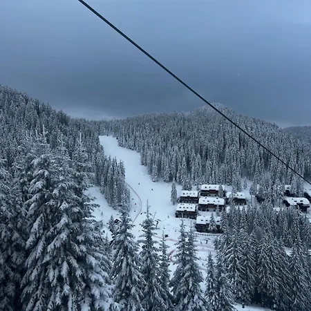 Apartment Alpine Escape Golte Mozirje