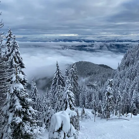 Alpine Escape Golte * Mozirje