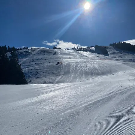 Alpine Escape Golte Lägenhet Mozirje