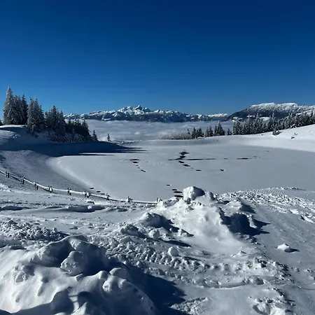 Alpine Escape Golte Mozirje