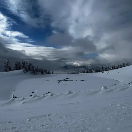 Lägenhet Alpine Escape Golte *