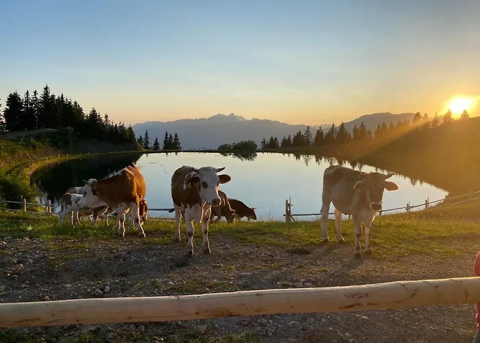 Alpine Escape Golte * Mozirje