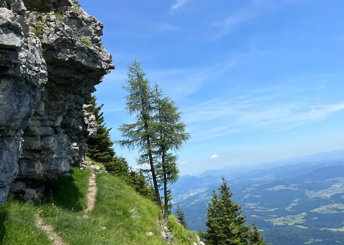 Alpine Escape Golte Apartment *