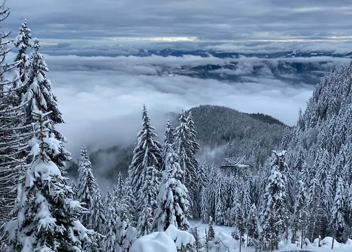 Alpine Escape Golte * Mozirje