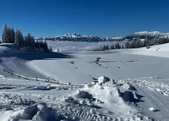 Alpine Escape Golte Mozirje