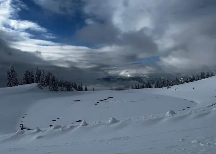 Apartment Alpine Escape Golte *